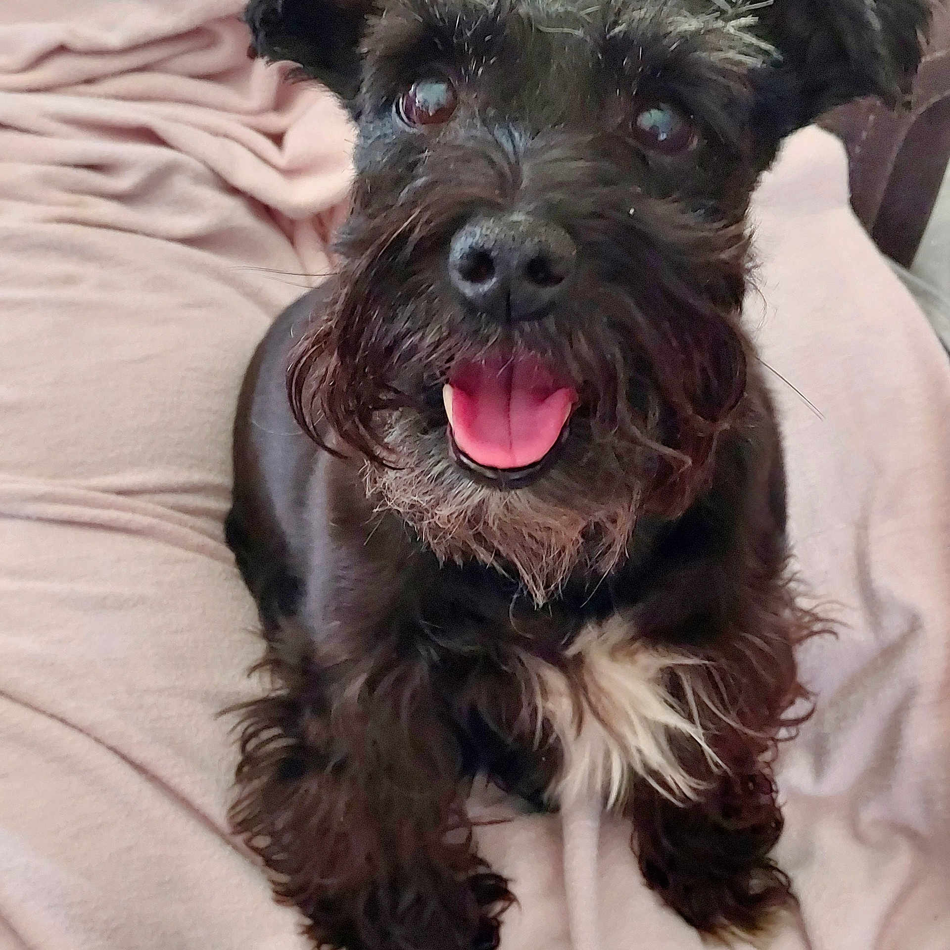 Maggie