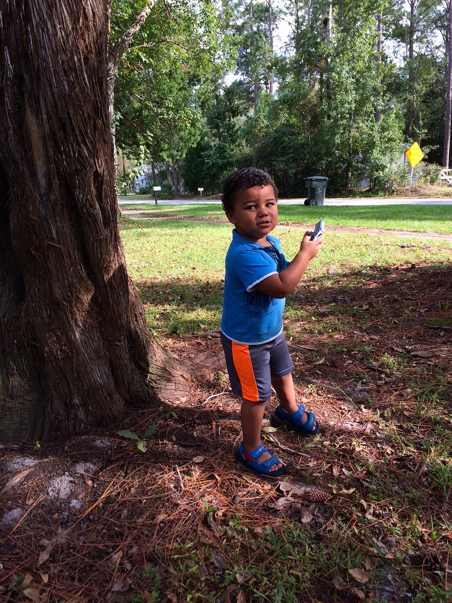 Jonathon joined the competition — help win amazing prizes! adaptation, child, forest, fun, grass, leaf, park, person, plant, play, recreation, smile, soil, summer, toddler, tree, trunk, vacation, woodland, woody_plant