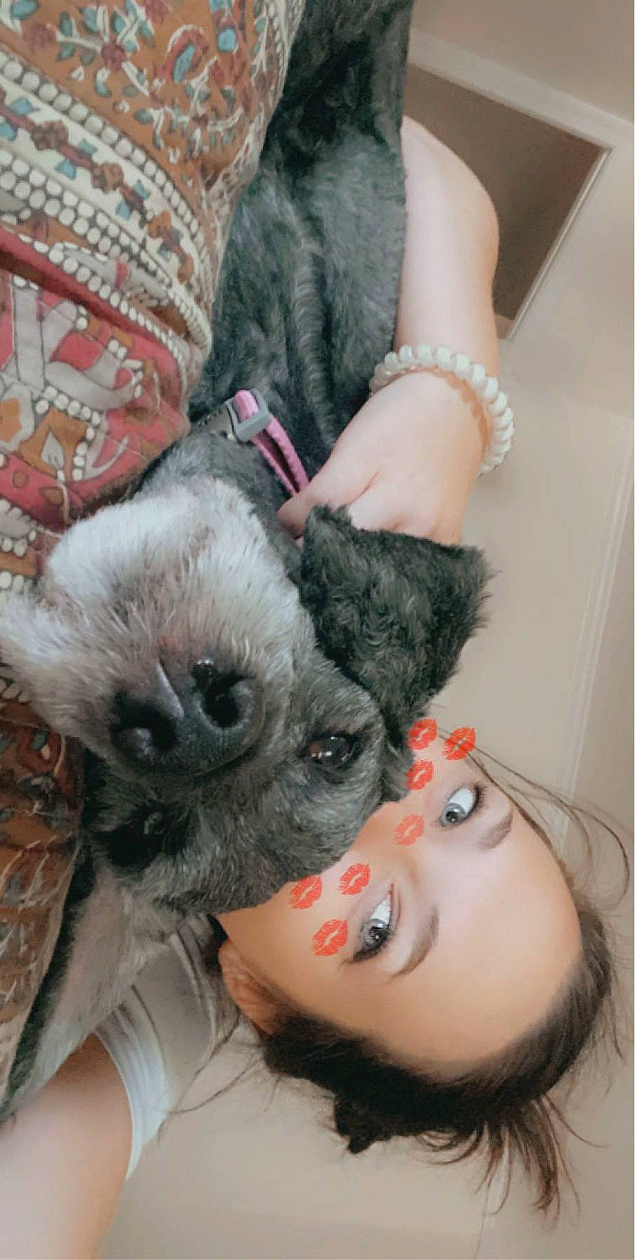 Miley is registered to the contest to win money with this photo: carnivore, comfort, companion_dog, dog, dog_breed, ear, eyelash, fashion_accessory, fawn, felidae, fur, gesture, hand, happy, headgear, jewellery, selfie, skin, snout, whiskers