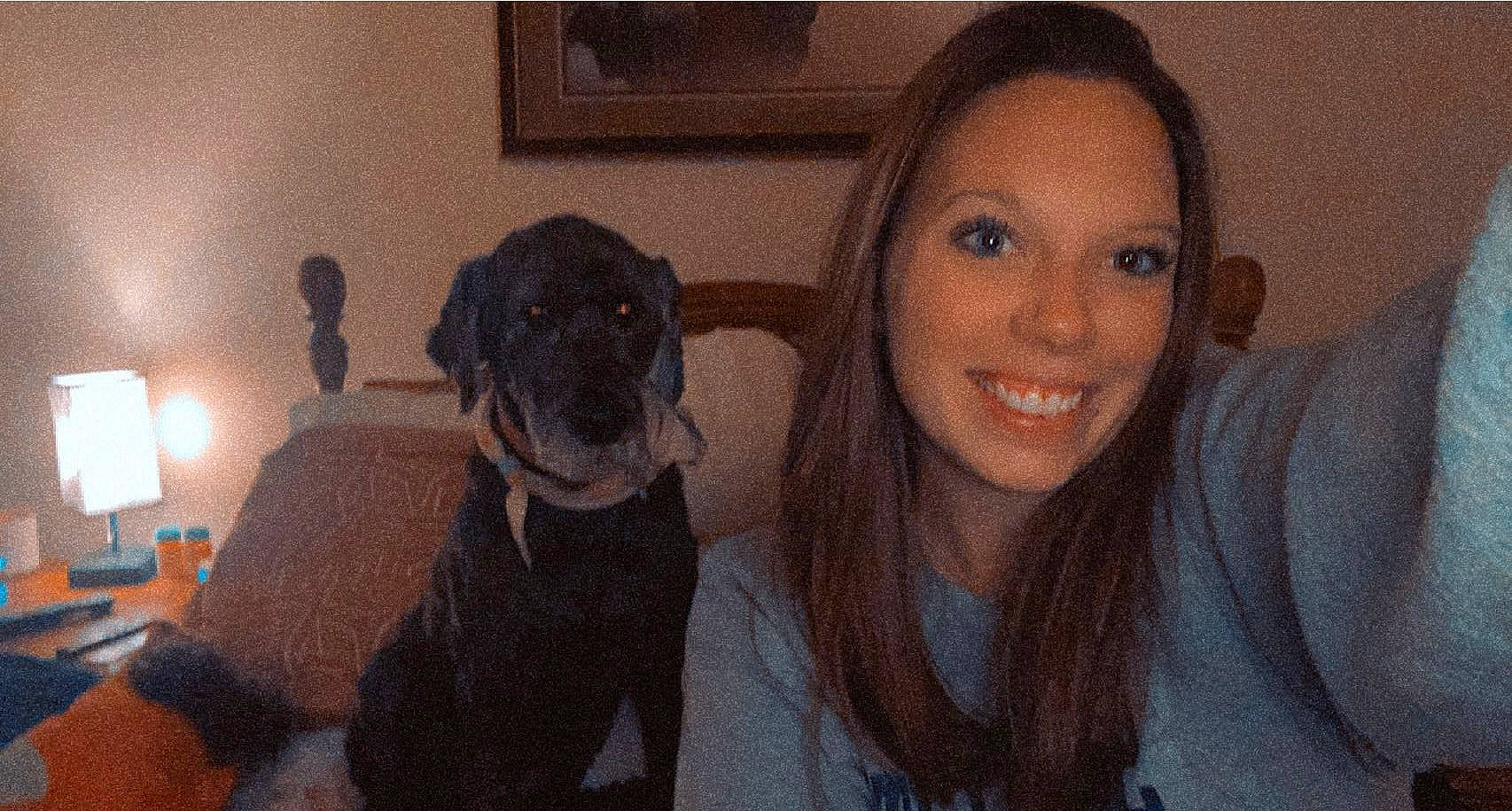 Miley is registered to the contest to win money with this photo: black_hair, brown_hair, canidae, carnivore, comfort, companion_dog, dog, dog_breed, ear, fawn, flash_photography, fur, happy, iris, long_hair, mammal, nose, smile, snout, sporting_group