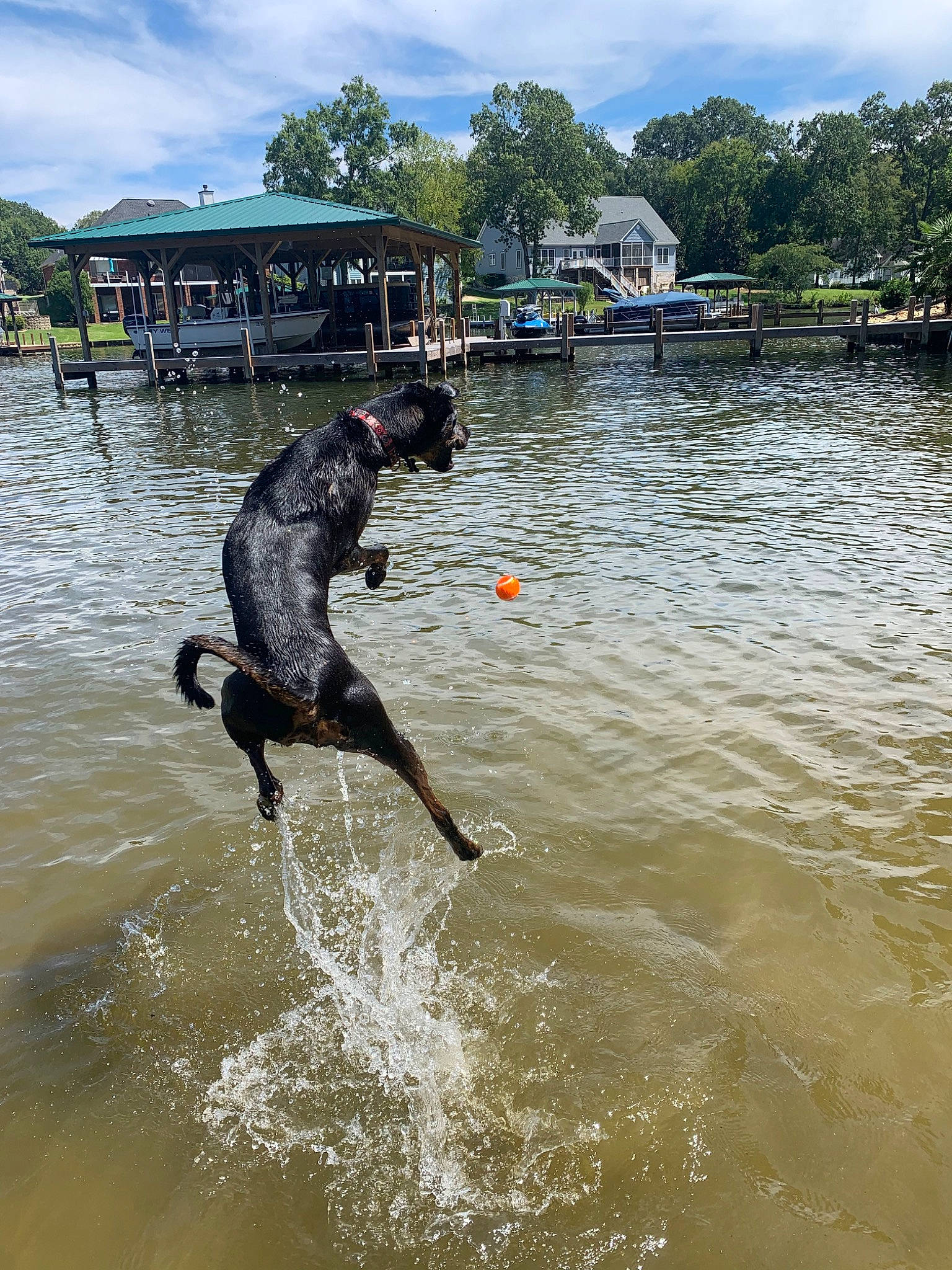 Rosey joined the competition — help win amazing prizes! body_of_water, cloud, diving_equipment, endurance_sports, event, fun, lake, leisure, ocean, personal_protective_equipment, recreation, reservoir, sky, sports, surface_water_sports, tree, water, water_resources, wave, wind_wave