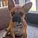 Scooby