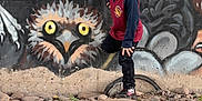 King is registered to the contest to win money with this photo: child, boy, graffiti, mural, owl, rocky_ground, urban, street_art, casual_clothing, outdoor, portrait, young, colorful, wall, expression, curious, standing, nature, rocks, art