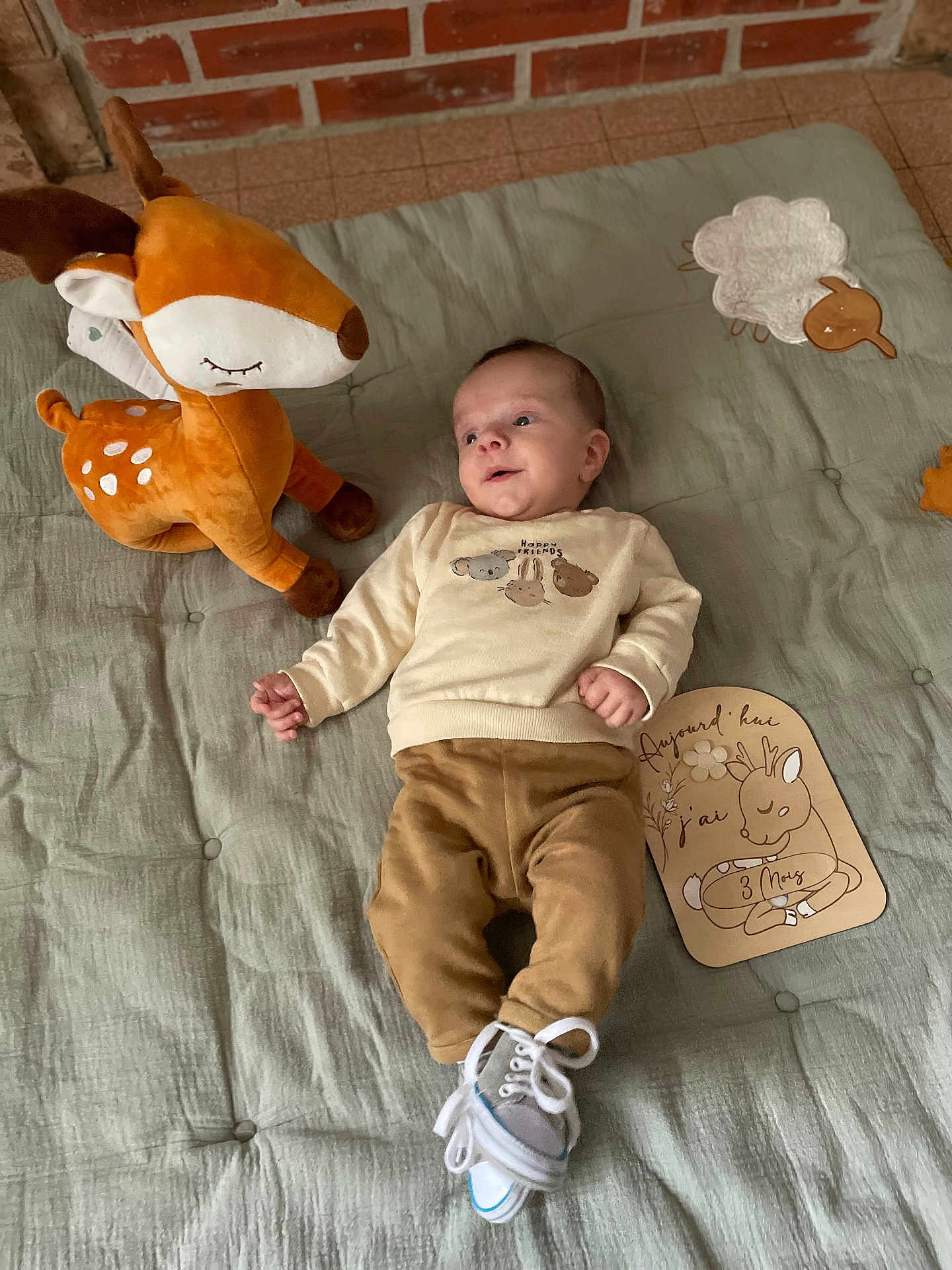 Charly a rejoint le concours — aidez-le/la à gagner de superbes lots ! baby, plush_toy, deer, quilted_mat, brick_wall, tiled_floor, milestone_card, clothing, sneakers, person, infant, cute, indoor, soft_toy, lying_down, child, face, smiling, brown_pants, beige_sweater