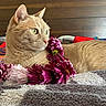cat, ginger_cat, flower_garland, purple_flowers, pink_flowers, blanket, cozy, textured_blanket, wooden_background, pet, animal, indoor, relaxed, feline, laying_down, soft_fur, closeup, domestic_cat, cute, peaceful