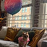 Puppy joined the competition — help win amazing prizes! cat, balloon, birthday, couch, pillows, indoor, window, brick_wall, tiara, pink_clothing, decor, sunlight, celebration, pet, feline, home, cozy, furniture, curtains, party