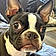 Baxter