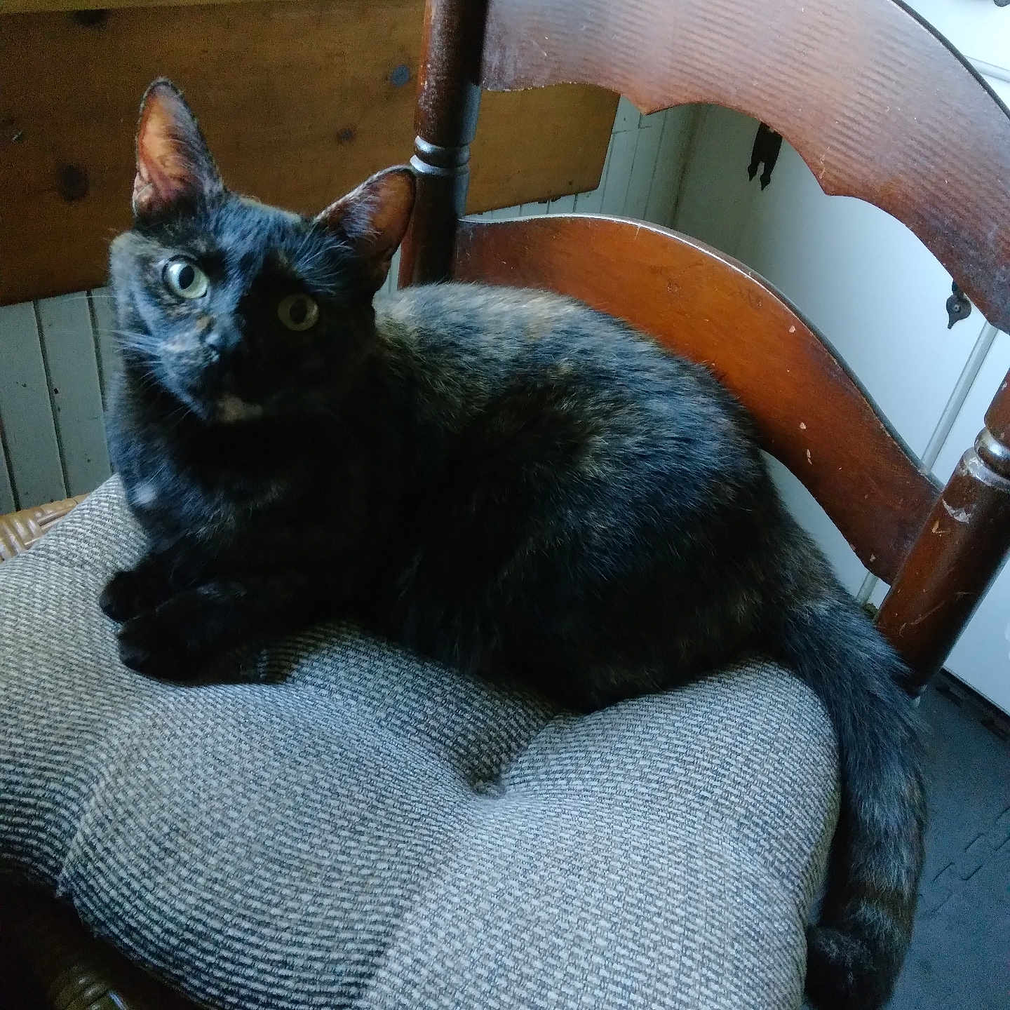 Midna