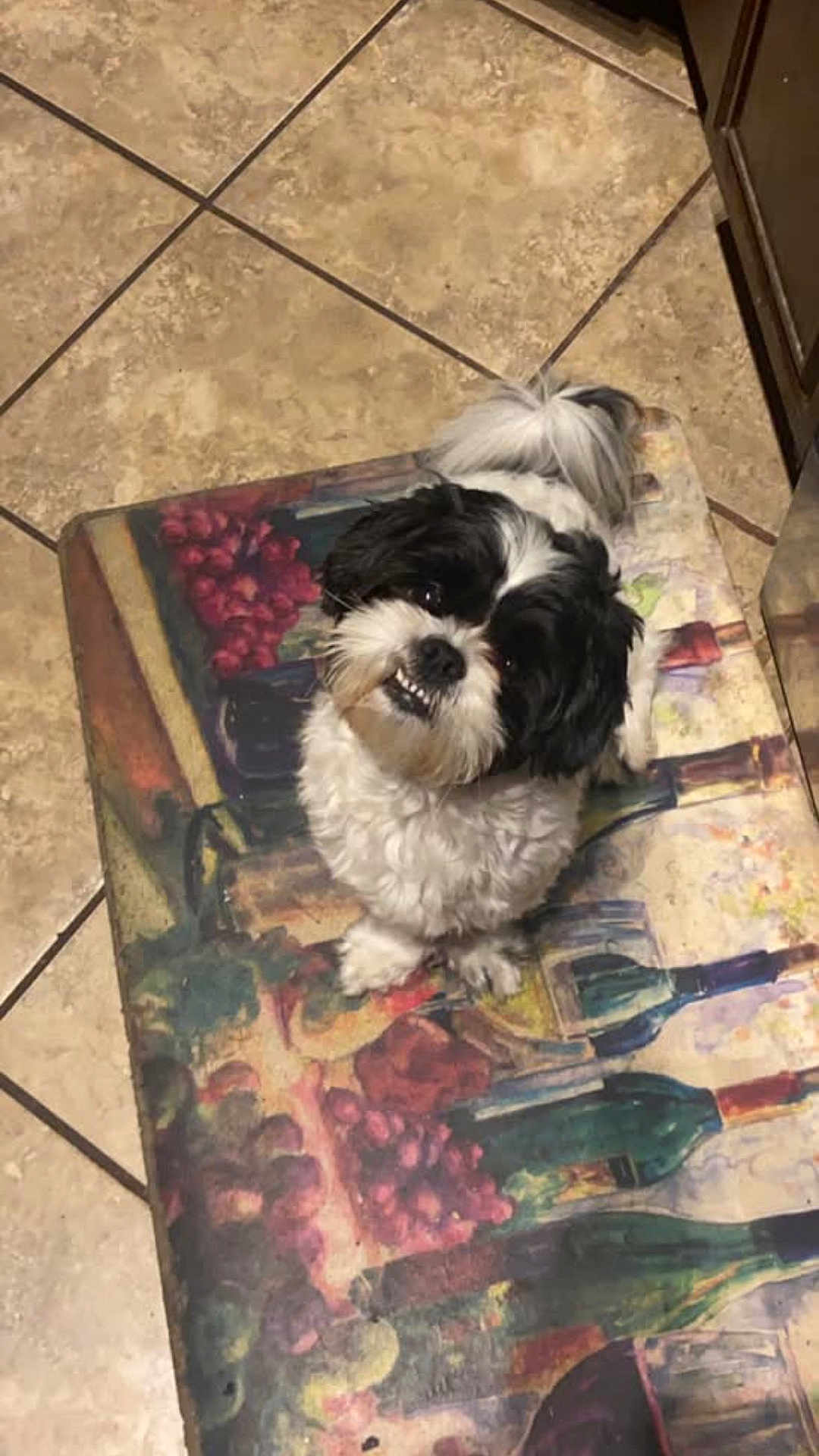 Loki
