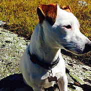 Gnocchi participe au concours pour gagner de l'argent avec cette photo :