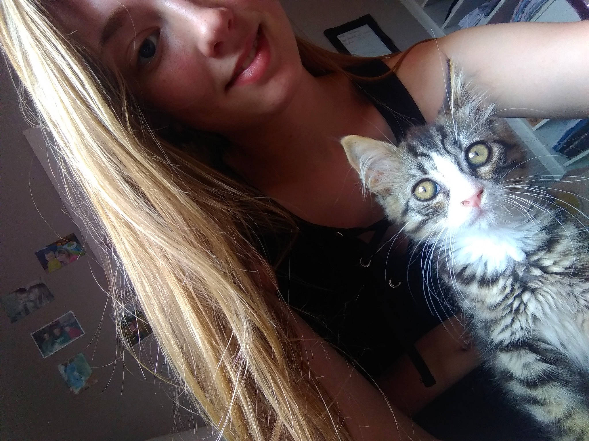 Marley a rejoint le concours — aidez-le/la à gagner de superbes lots ! brown_hair, carnivoran, cat, cat_like_mammal, ear, eye, fur, girl, human_hair_color, kitten, mammal, person, small_to_medium_sized_cats, vertebrate, whiskers