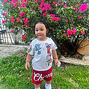 Joandry is registered to the contest to win money with this photo: toddler, child, grass, flowers, bush, outdoor, playful, braided_hair, white_tshirt, red_shorts, sneakers, greenery, nature, portrait, cute, young_child, garden, smiling, standing, daylight