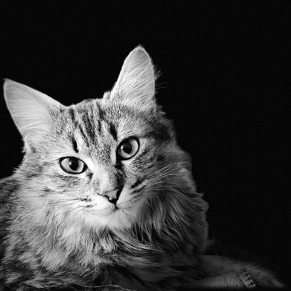 Princesse