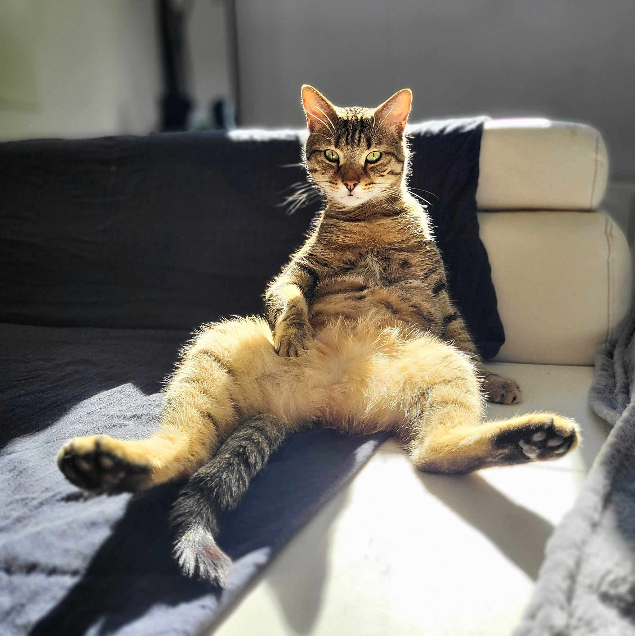 Kiki