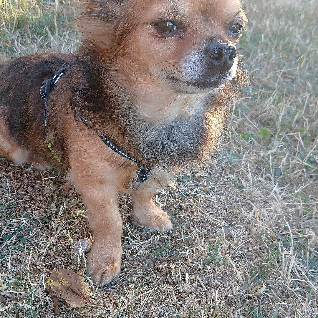 Roxy