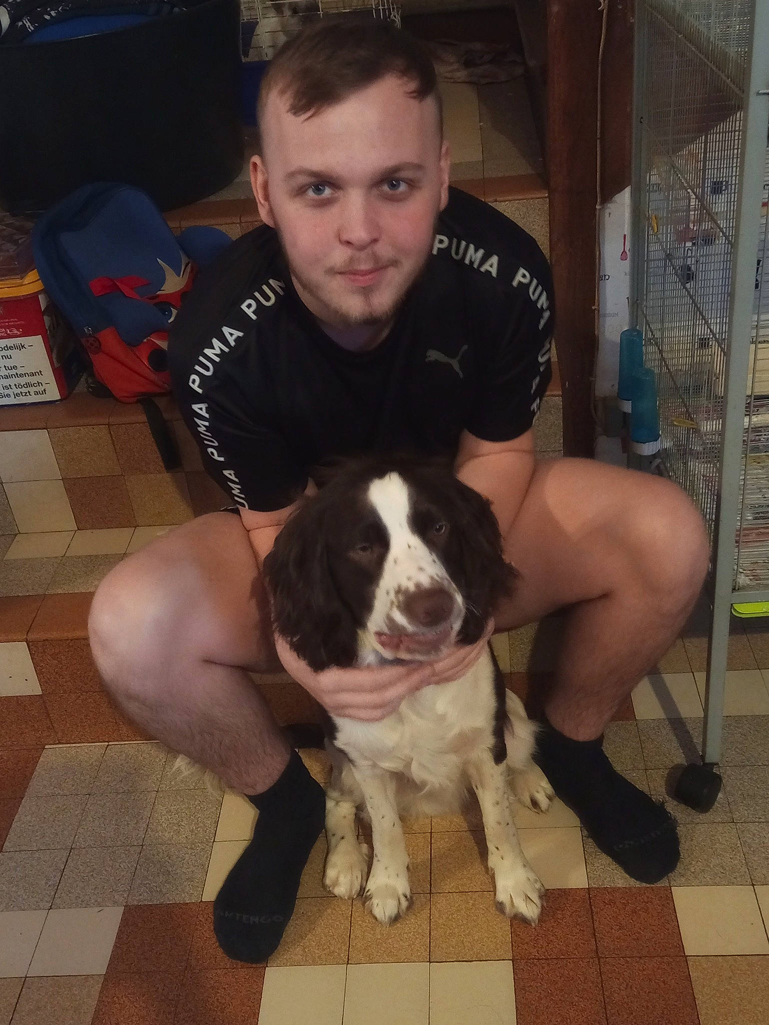 Tango participe au concours pour gagner de l'argent avec cette photo : canidae, carnivore, chair, chest, companion_dog, dog, dog_breed, fawn, flooring, fun, fur, human_leg, leg, shorts, sneakers, snout, sporting_group, t_shirt, thigh, working_animal