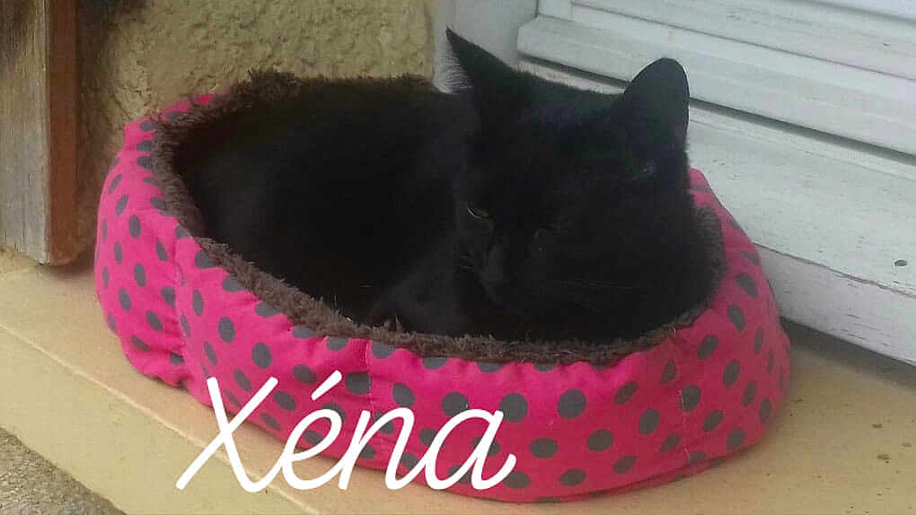 Xena