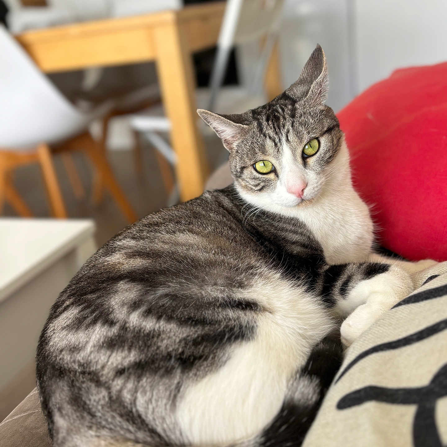 Maya