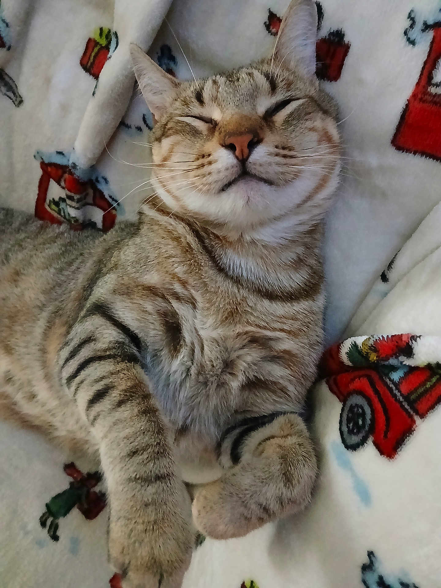 Mocha