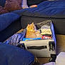 Kodi is registered to the contest to win money with this photo: cat, orange_cat, black_cat, suitcase, living_room, couch, pillow, blanket, snacks, cheezit_box, carpet, furniture, indoor, pets, cozy, relaxing, domestic, home, curious, resting