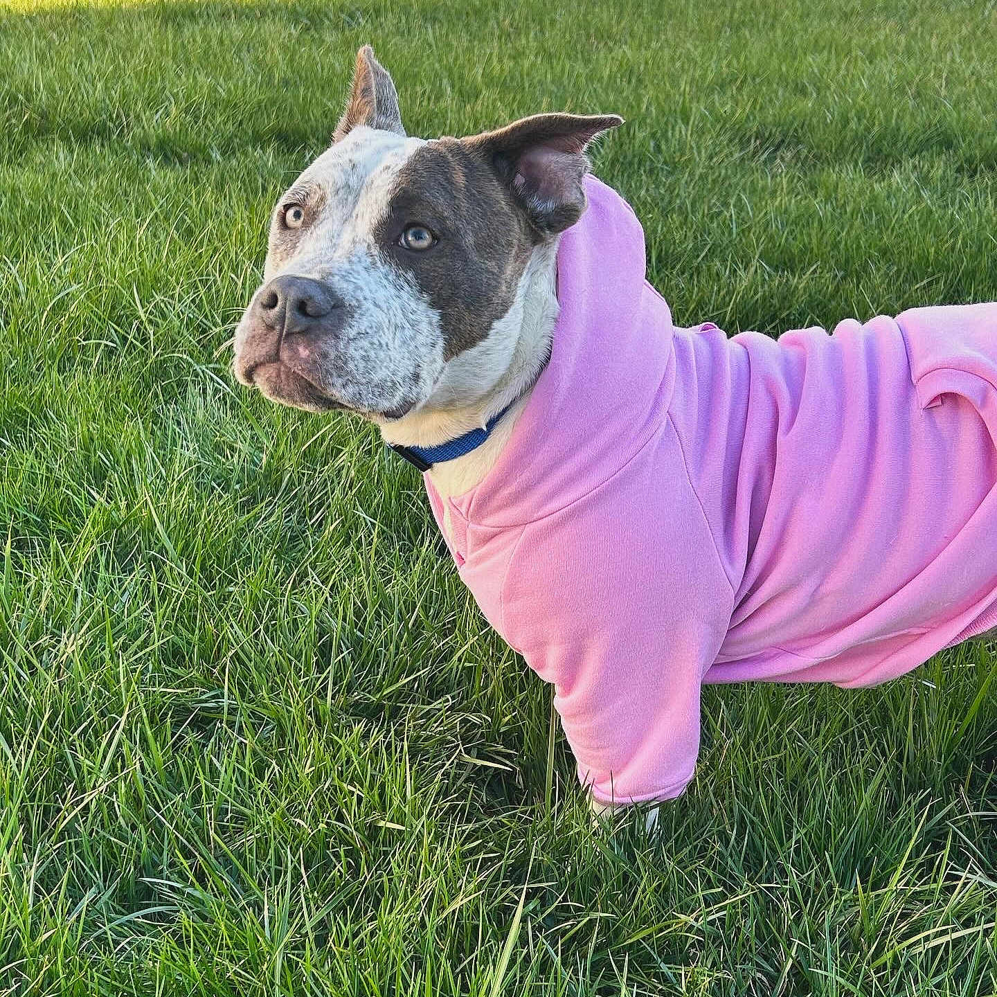 Ellie