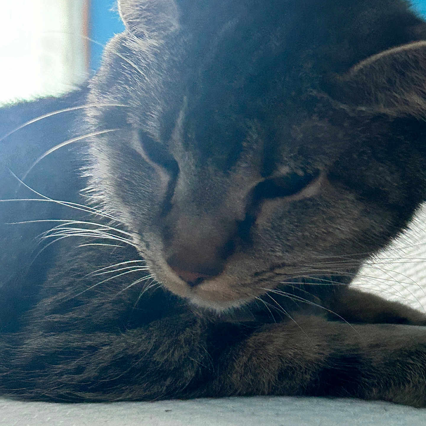 Jack