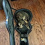 Jack is registered to the contest to win money with this photo: cat, tabby_cat, guitar_case, wooden_floor, indoor, pet, sleeping, furniture, cozy, home, relaxing, curled_up, flooring, box, storage, domestic_animal, fur, resting, animal, soft