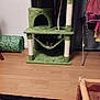 animal, bamboo, cat_tree, cat_tunnel, clothing, cozy, drying_rack, furniture, green, hammock, home, indoor, kitten, patterned, pet, resting, rug, small_cat, table, wooden_floor