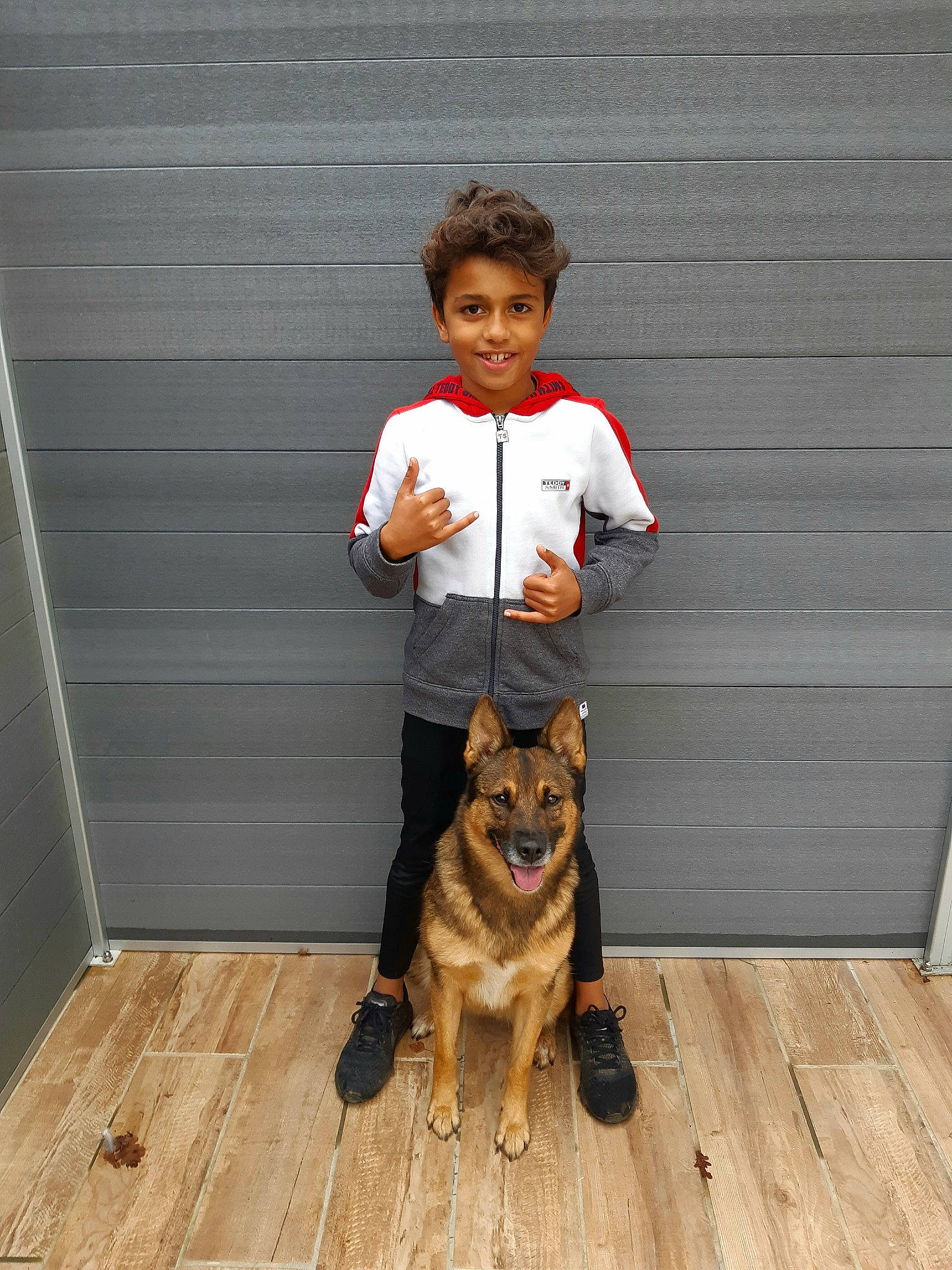 Chaussette a rejoint le concours — aidez-le/la à gagner de superbes lots ! canidae, carnivore, companion_dog, dog, dog_breed, fawn, floor, german_shepherd_dog, mammal, sporting_group, vertebrate, wood, working_dog