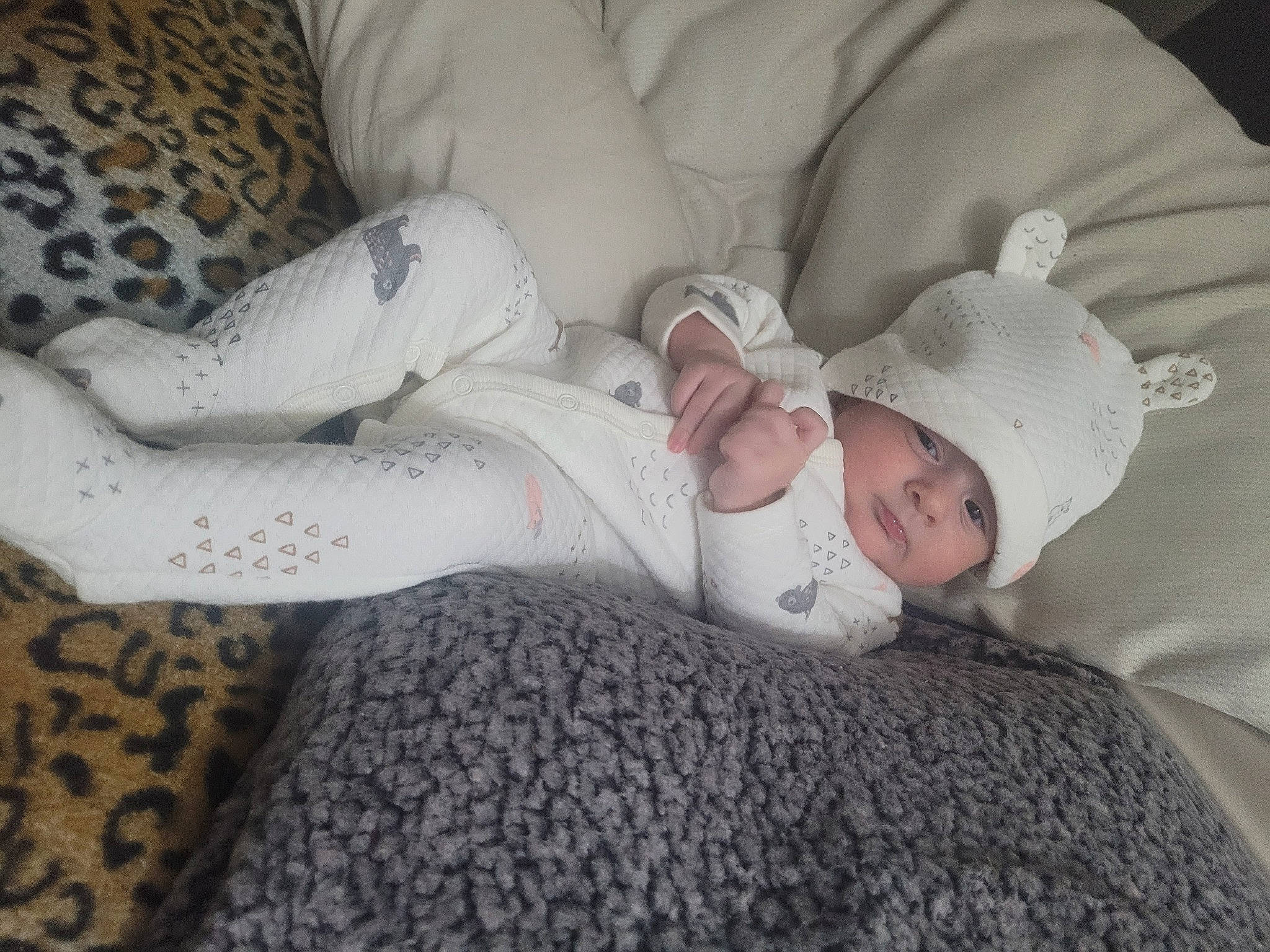 Amariah joined the competition — help win amazing prizes! baby, baby_products, baby_sleeping, baby_toddler_clothing, bedding, child, comfort, couch, eye, fur, grey, hat, headwear, human_body, human_leg, linens, pattern, person, room, sleeve