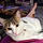 Phoebe