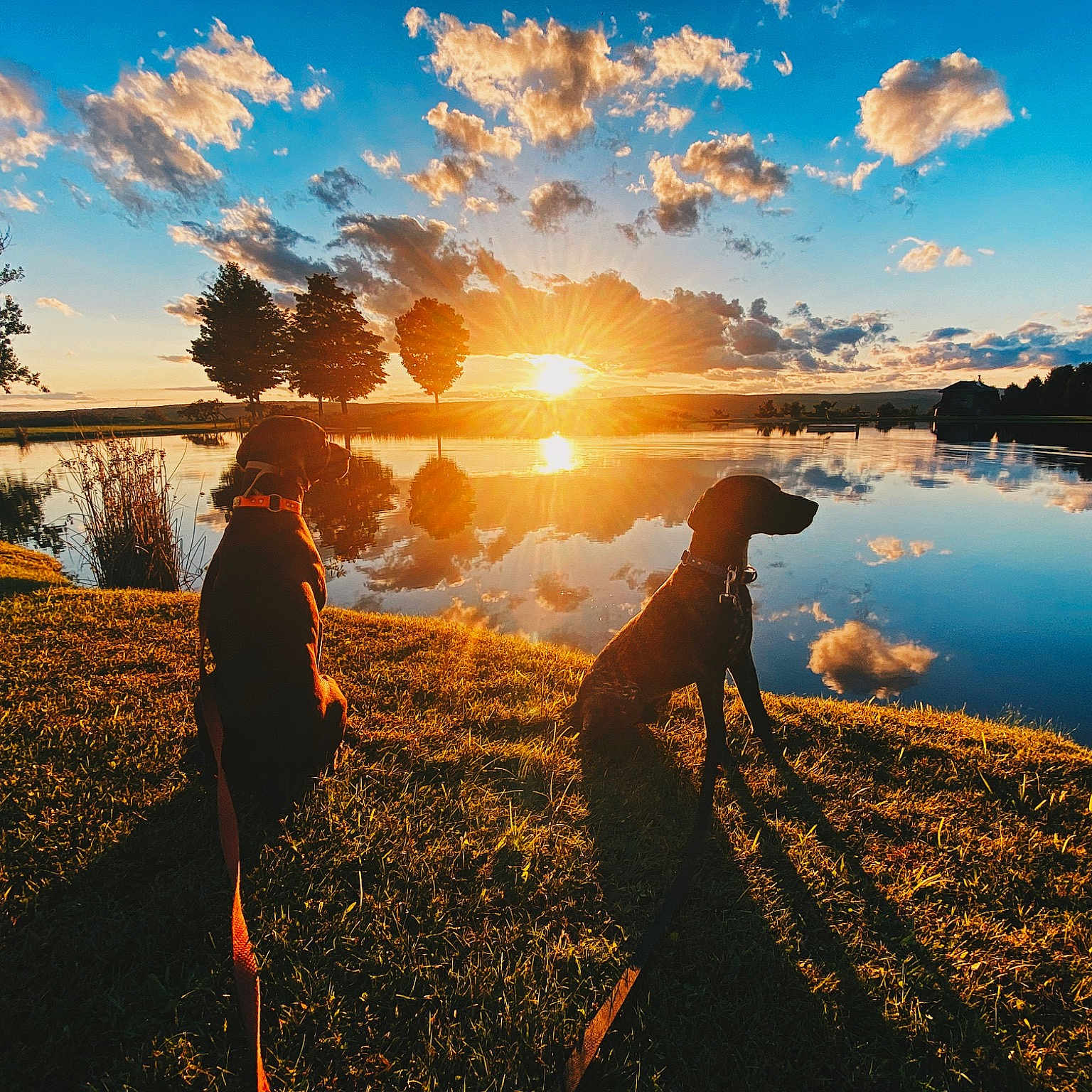 Zeiger And Ollie is registered to the contest to win money with this photo: afterglow, bank, cloud, dusk, flash_photography, gesture, grass, happy, horizon, lake, leisure, natural_landscape, nature, people_in_nature, sky, sunlight, sunrise, sunset, tree, water