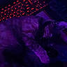 Mew joined the competition — help win amazing prizes! cat, sleeping, keyboard, red_light, purple_light, desk, indoor, pet, animal, feline, cozy, relaxing, napping, dark, ambient_light, computer, electronics, fur, paw, quiet