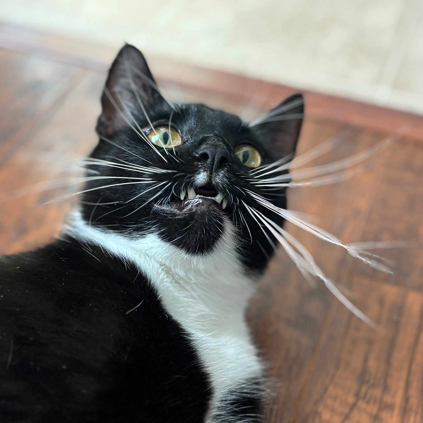 Kylo