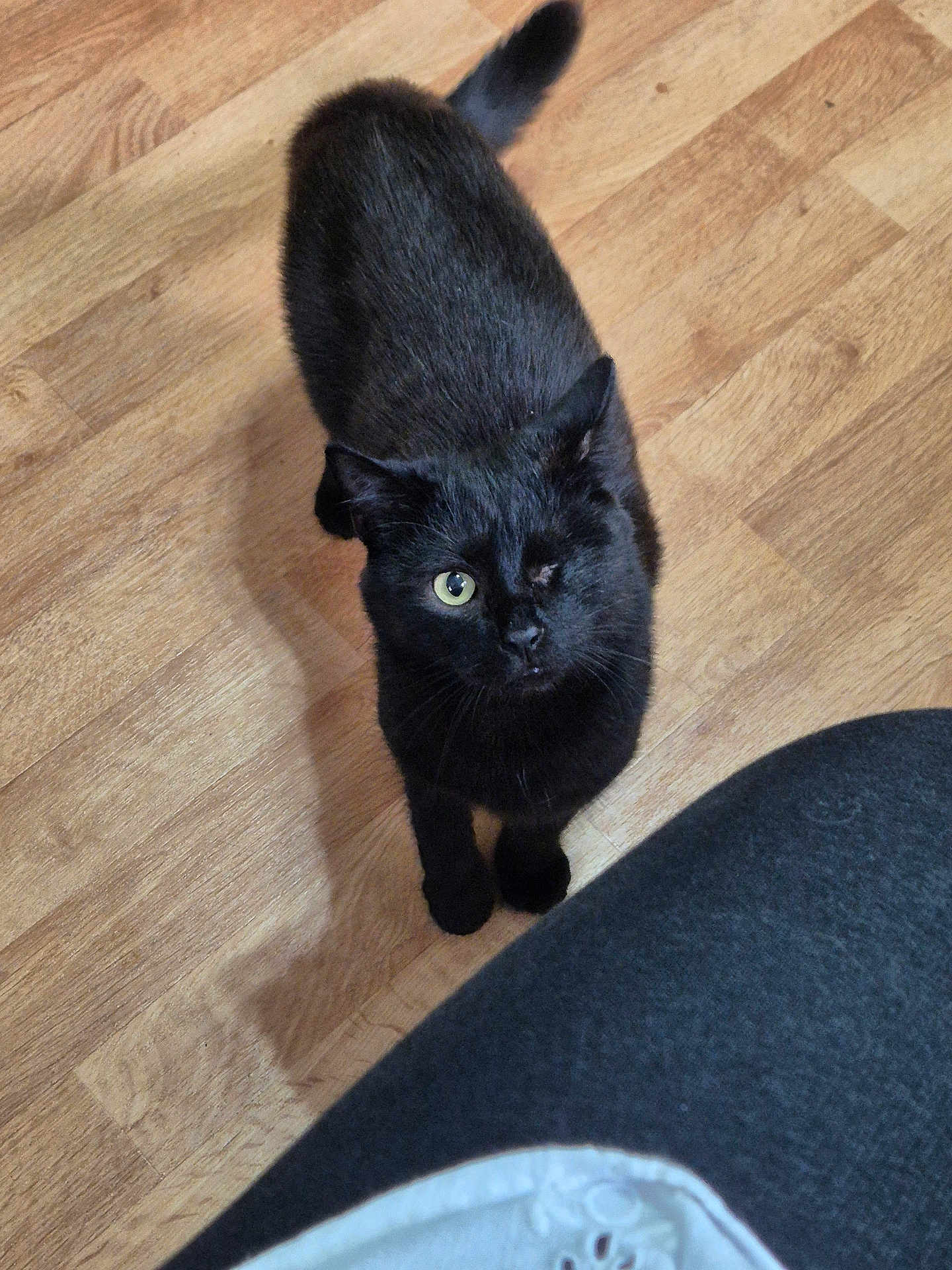 Lucy