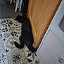 Lucy joined the competition — help win amazing prizes! black_cat, cat, floor, tile_floor, patterned_tiles, wooden_door, cabinet, indoor, pet_bed, carpet, foot, relaxing, lying_down, home, furniture, animal, domestic, cozy, quiet, resting