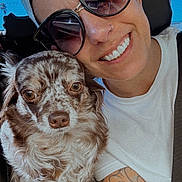 Dabs joined the competition — help win amazing prizes! brown_dog, cap, car_interior, casual, closeup, companion, cute, dog, fluffy_dog, friendship, happy, indoor, person, pet, portrait, seatbelt, smiling, sunglasses, tattoo, white_shirt