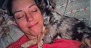 Coral Rae joined the competition — help win amazing prizes! animal, bed, blanket, closeup, comfort, cozy, dog, face, friendship, fur, happy, indoor, nose_ring, patterned_bedspread, person, pet, red_shirt, relaxation, sleeping, snuggling