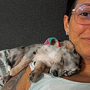 Coral Rae joined the competition — help win amazing prizes! bed, blanket, casual, closeup, companion, cute, dog, glasses, indoor, nap, person, pet, puppy, relaxed, resting, short_hair, shoulder, sleeping, smile, tattoo
