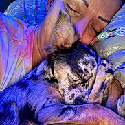 Coral Rae is registered to the contest to win money with this photo: person, dog, sleeping, cuddle, close_up, indoor, rest, snuggle, face, paw, blanket, comfort, eyelashes, ear, fur, nose, pillow, relaxation, tie_dye_shirt, peaceful