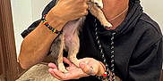 Coral Rae joined the competition — help win amazing prizes! person, puppy, dog, tattoo, bracelet, cap, kiss, indoor, floor, jeans, black_hoodie, cute_animal, pet, holding, affection, portrait, small_dog, seated, wooden_floor, colorful