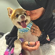 Seven is registered to the contest to win money with this photo: affection, bandana, black_hoodie, blanket, bracelet, cap, closeup, cute, dog, fur, hand, happy, hug, indoor, kiss, love, person, pet, ring, smiling_dog