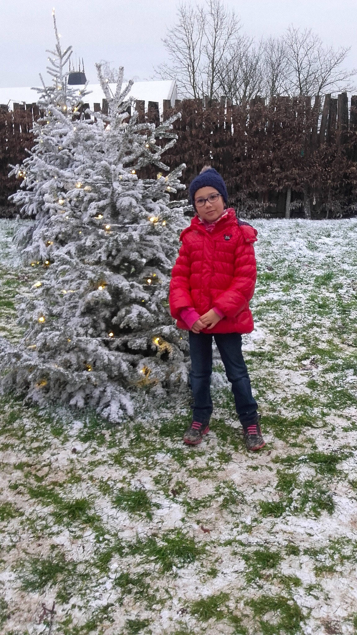 Lilou participe au concours pour gagner de l'argent avec cette photo : christmas_decoration, christmas_tree, conifer, evergreen, fir, freezing, frost, fun, holiday, person, pine_family, plant, shrub, snow, spruce, tree, winter, woody_plant