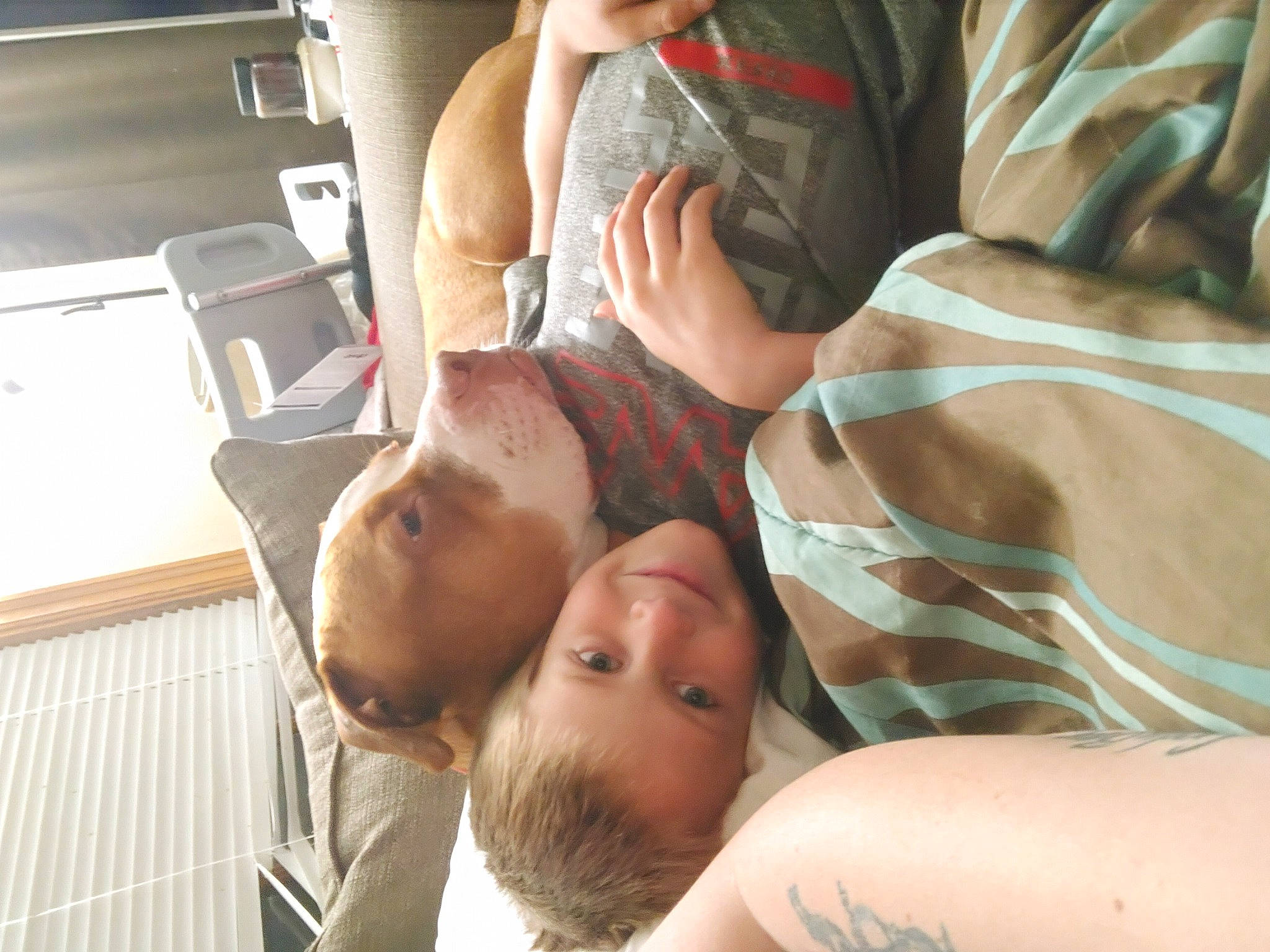 Maison joined the competition — help win amazing prizes! abdomen, baby, baby_products, chest, child, comfort, elbow, event, fun, joint, joy, kitchen_appliance, muscle, nap, person, room, sitting, sleep, t_shirt, thigh