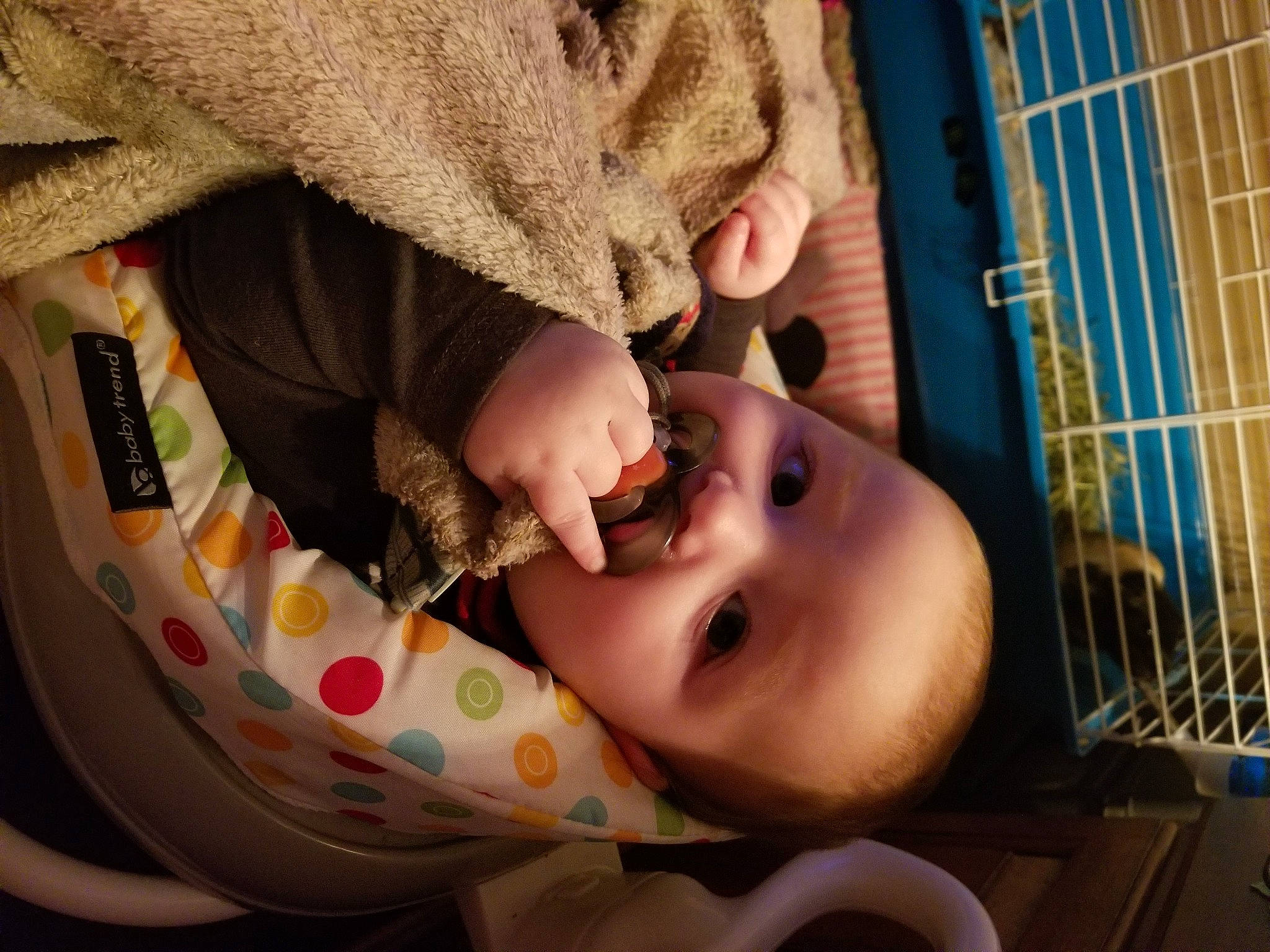 Joshua is registered to the contest to win money with this photo: baby, baby_products, baby_safety, baby_toddler_clothing, cheek, child, chin, comfort, eye, eyelash, fun, happy, iris, lip, mouth, nose, pattern, person, skin, toddler