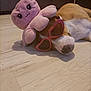 accessory, animal, brown_and_white, casual, cute, dog, floor, funny, heart_shaped, indoor, octopus, pet, pink, plush_toy, relaxed, resting, sleeping, sunglasses, toy, wooden_floor