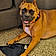 Lucy