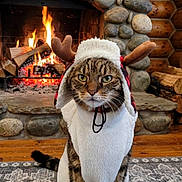 Buttercup joined the competition — help win amazing prizes! cat, tabby_cat, costume, antlers, fireplace, stone_fireplace, fire, flames, wood_logs, rug, patterned_rug, indoor, cozy, winter, wooden_walls, pet, animal, sitting, portrait, feline