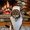 cat, tabby_cat, costume, antlers, fireplace, stone_fireplace, fire, flames, wood_logs, rug, patterned_rug, indoor, cozy, winter, wooden_walls, pet, animal, sitting, portrait, feline