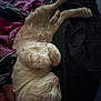 cat, sleeping, cream_colored, fur, blanket, cozy, indoors, nap, resting, pet, feline, soft_lighting, curled_up, warm, comfortable, domestic, animal, cute, relaxed, bed